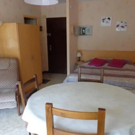 Confortable Avec Balcon, Proche Des Thermes Et Centre-ville, Ideal Pour 2 Personnes Avec Wifi - Fr-1-703-90 Amélie-les-Bains-Palalda